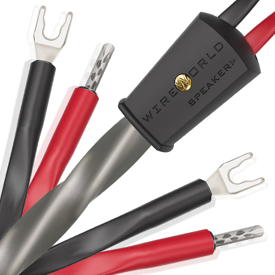 Wireworld EQUINOX 10 – Paar Netzkabel – SOFORT LIEFERBAR in 2,5m BW