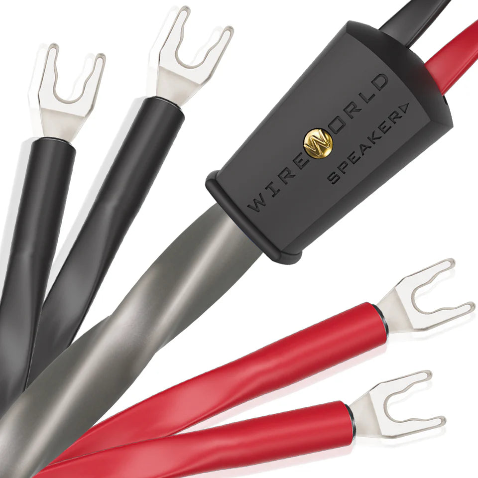 Wireworld EQUINOX 10 – Paar Netzkabel – SOFORT LIEFERBAR in 2,5m BW
