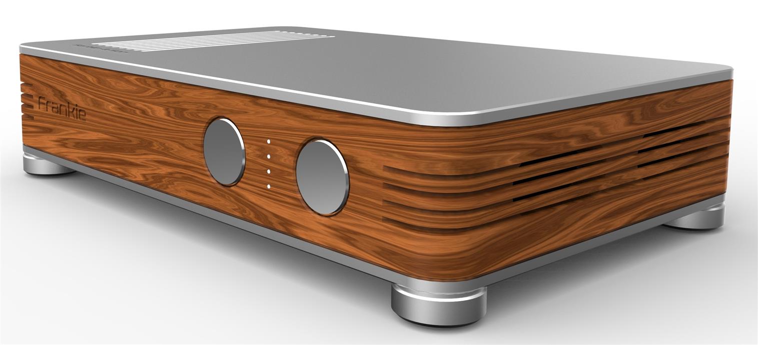 Serblin & Son Frankie monoblocco - Pair of mono final amplifiers - READY FOR DELIVERY