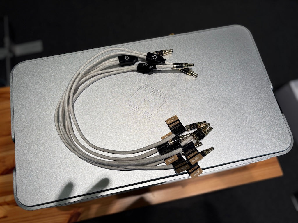 Silent Angel Forester FX - Hi-End Linear Power Supply