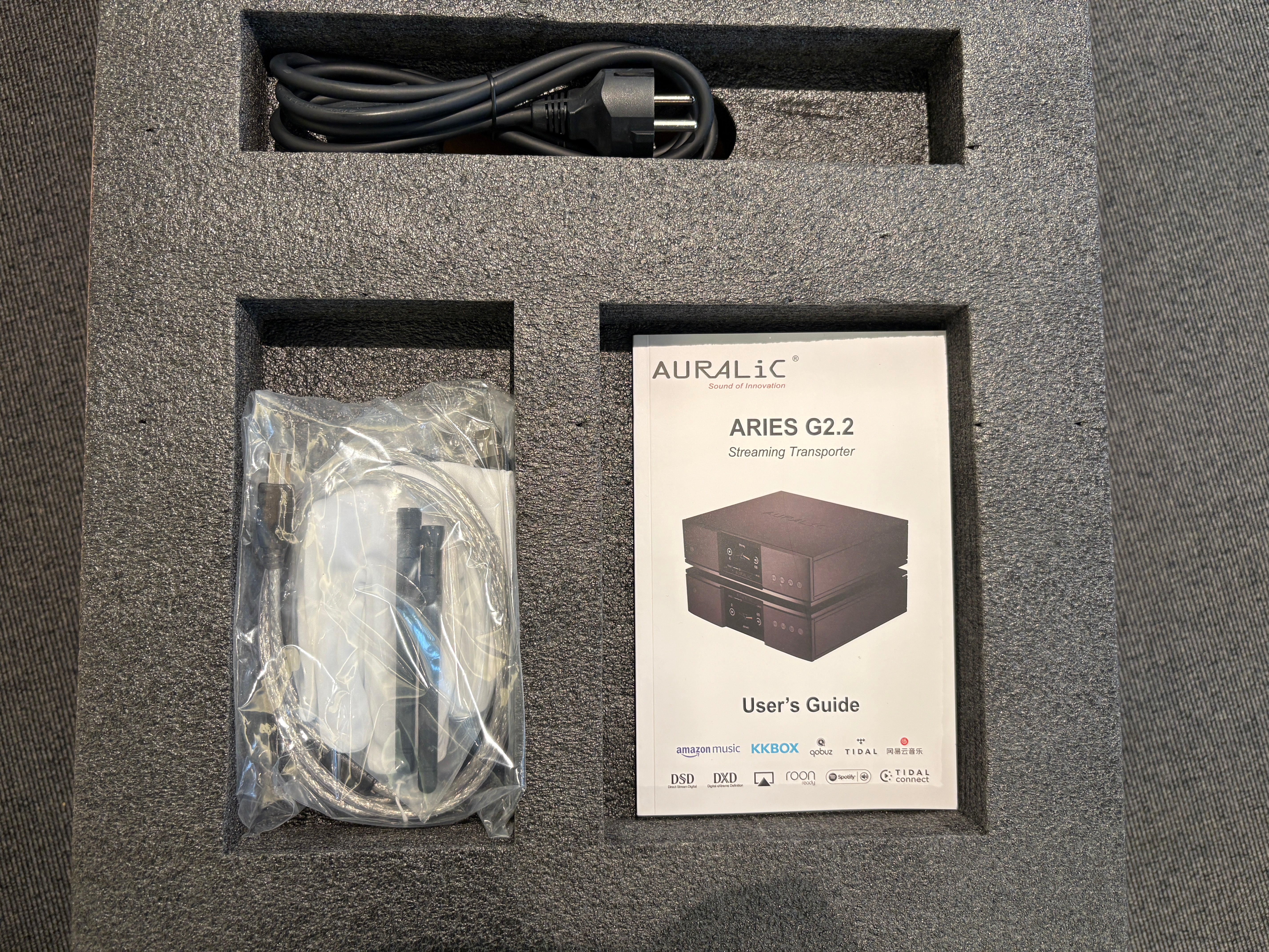 Auralic Aries G2.2 - Streamer Audio - EX DEMO