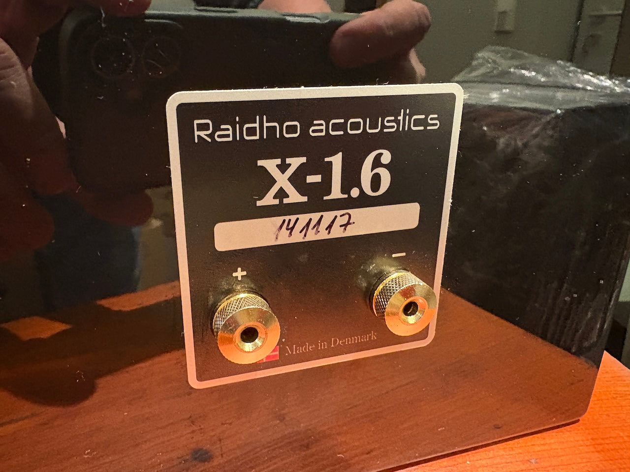 Raidho acoustics X-1.6 diffusori da stand - USATO