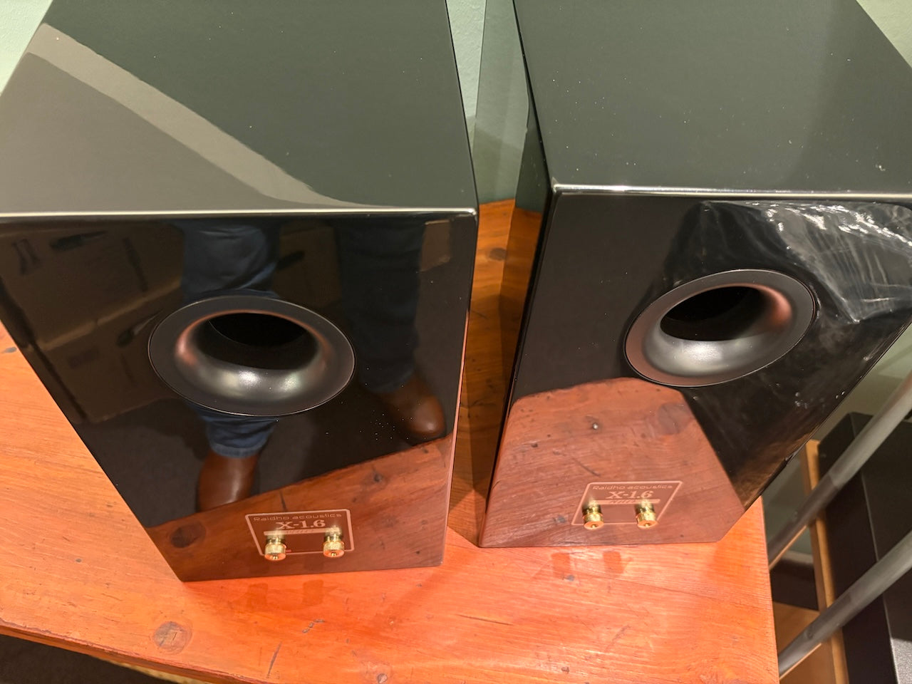 Raidho acoustics X-1.6 diffusori da stand - USATO