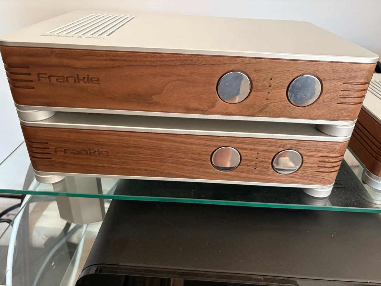 Serblin & Son Frankie monoblocco - Coppia di finali mono - EX DEMO