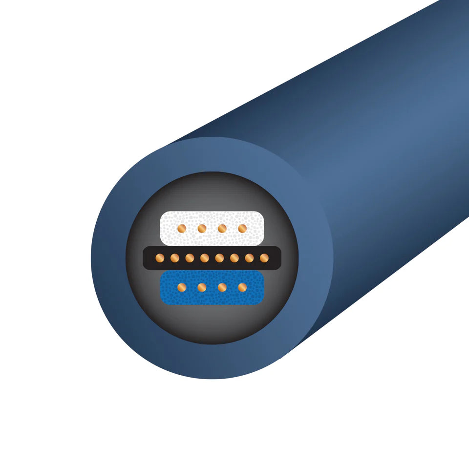 Wireworld OASIS 10 - coppia di cavi di segnale - PRONTA CONSEGNA da 1m RCA e XLR