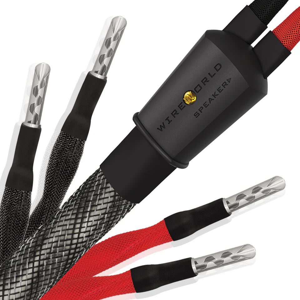 Wireworld SILVER ECLIPSE 10 - coppia di cavi di potenza