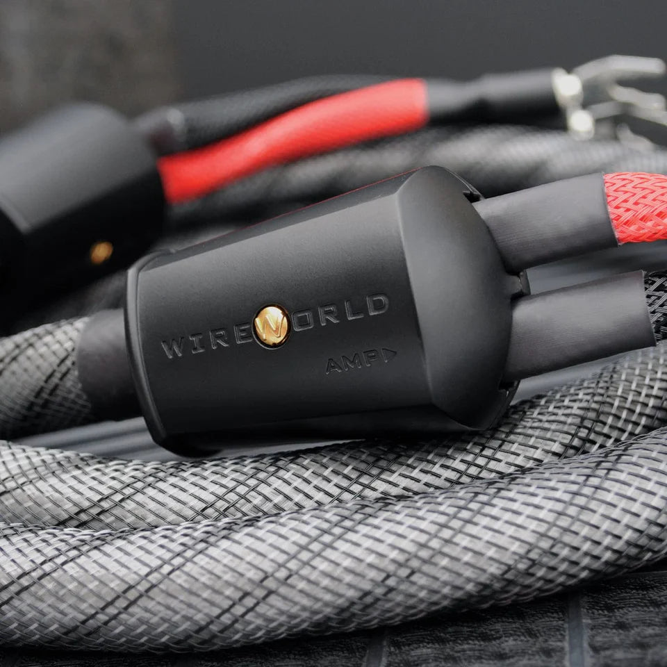 Wireworld SILVER ECLIPSE 10 - coppia di cavi di potenza