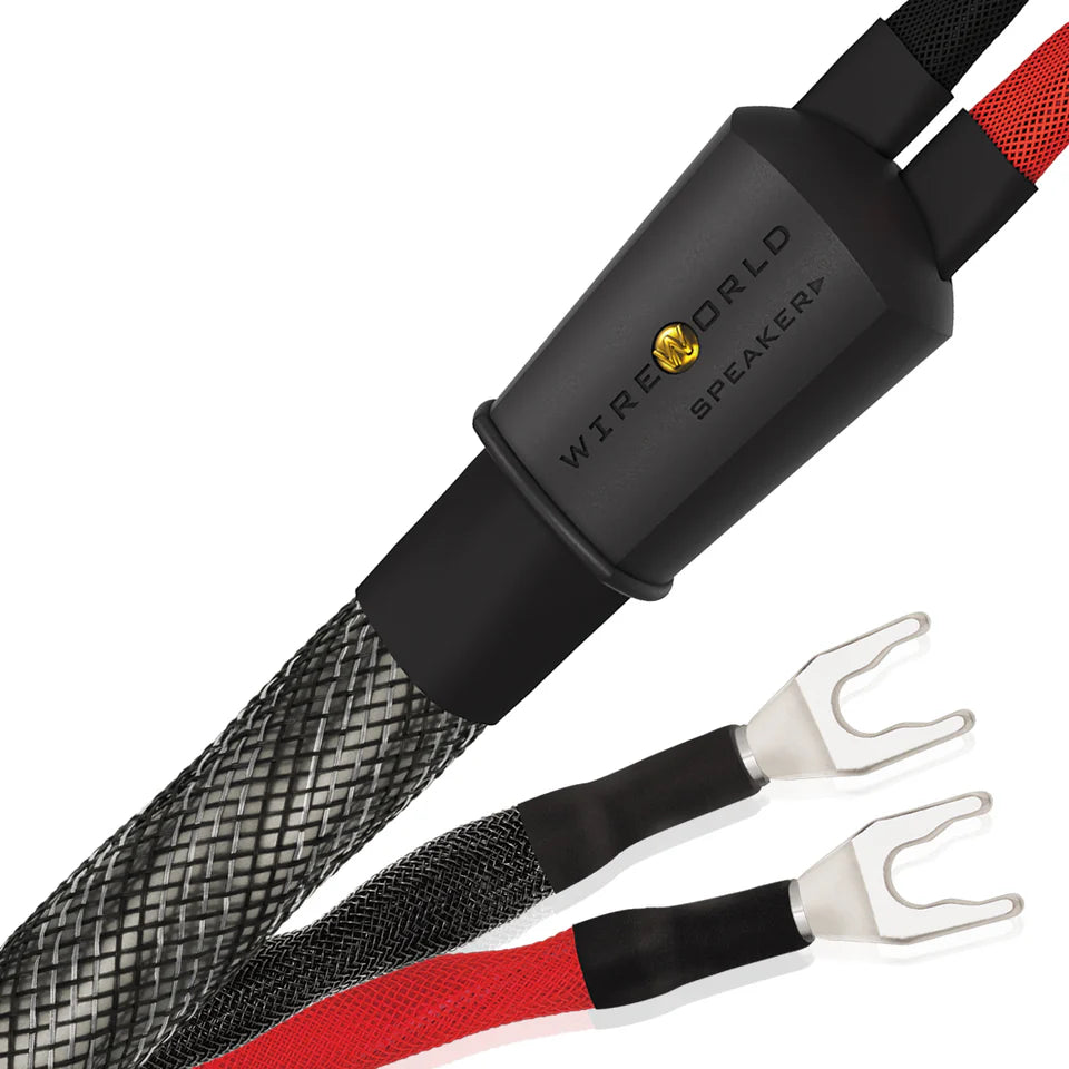 Wireworld SILVER ECLIPSE 10 - coppia di cavi di potenza