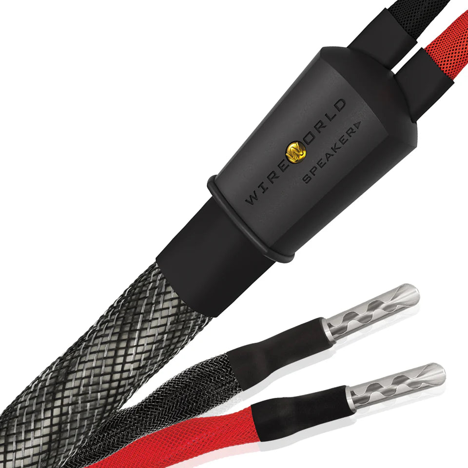 Wireworld SILVER ECLIPSE 10 - coppia di cavi di potenza