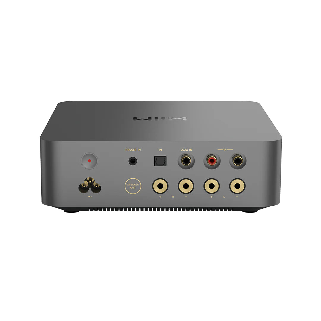 WiiM Vibelink - Amplificatore / DAC