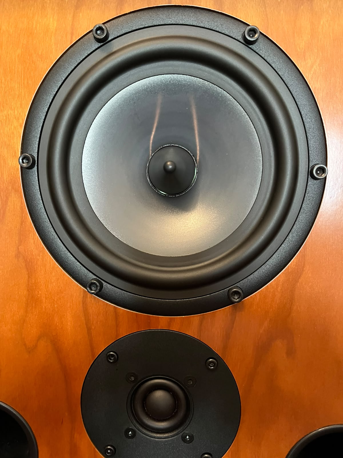 Spendor SP100R2 con stand - USATO