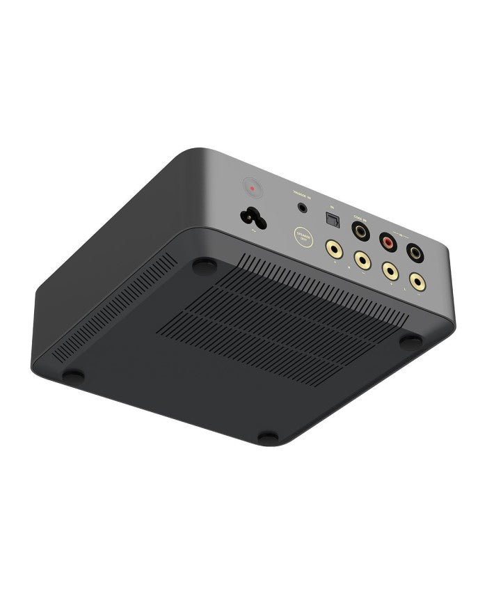 WiiM Vibelink - Amplifier / DAC