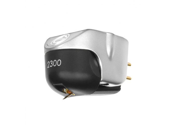 Goldring 2300 - Testina