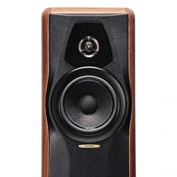 Sonus Faber Maxima Amator