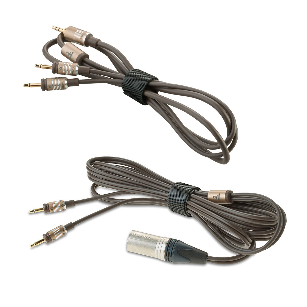 Focal Clear MG - Cuffie stereo Hi-End aperte