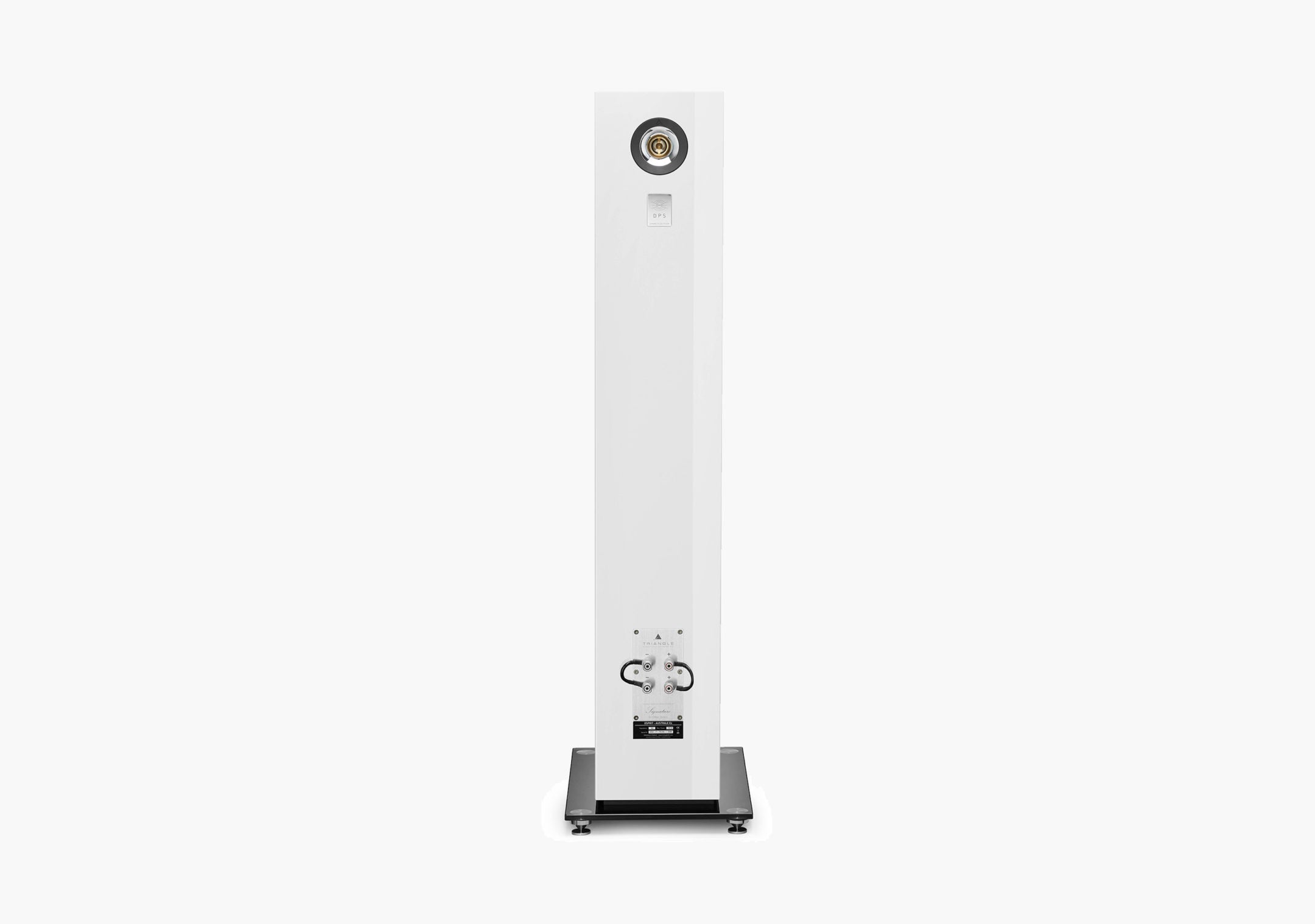 Triangle Esprit Australe Ez - Coppia diffusori da pavimento - CHIEDERE DISPONIBILITA' COLORI