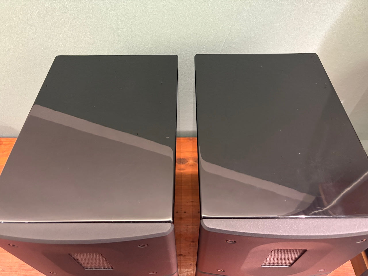 Raidho acoustics X-1.6 diffusori da stand - USATO