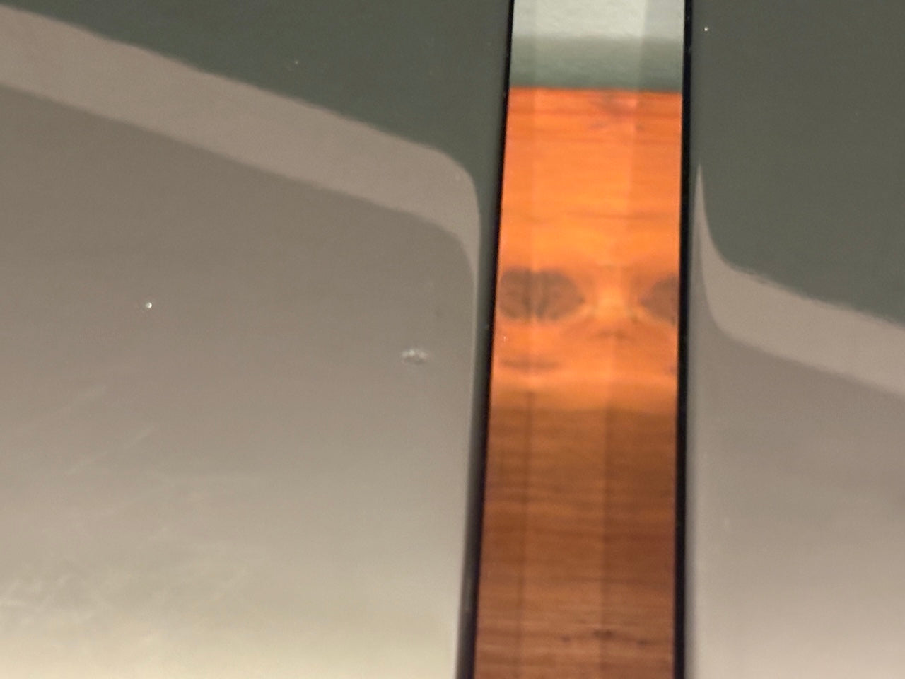 Raidho acoustics X-1.6 diffusori da stand - USATO