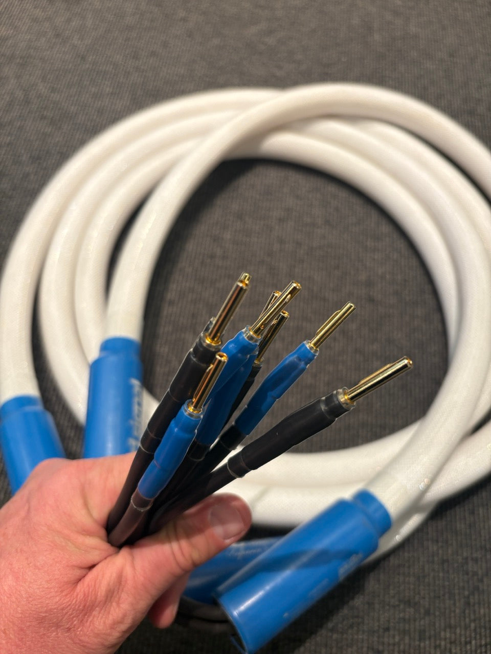 Signal Projects Silverquest Speaker Cables 2,5m - USATO