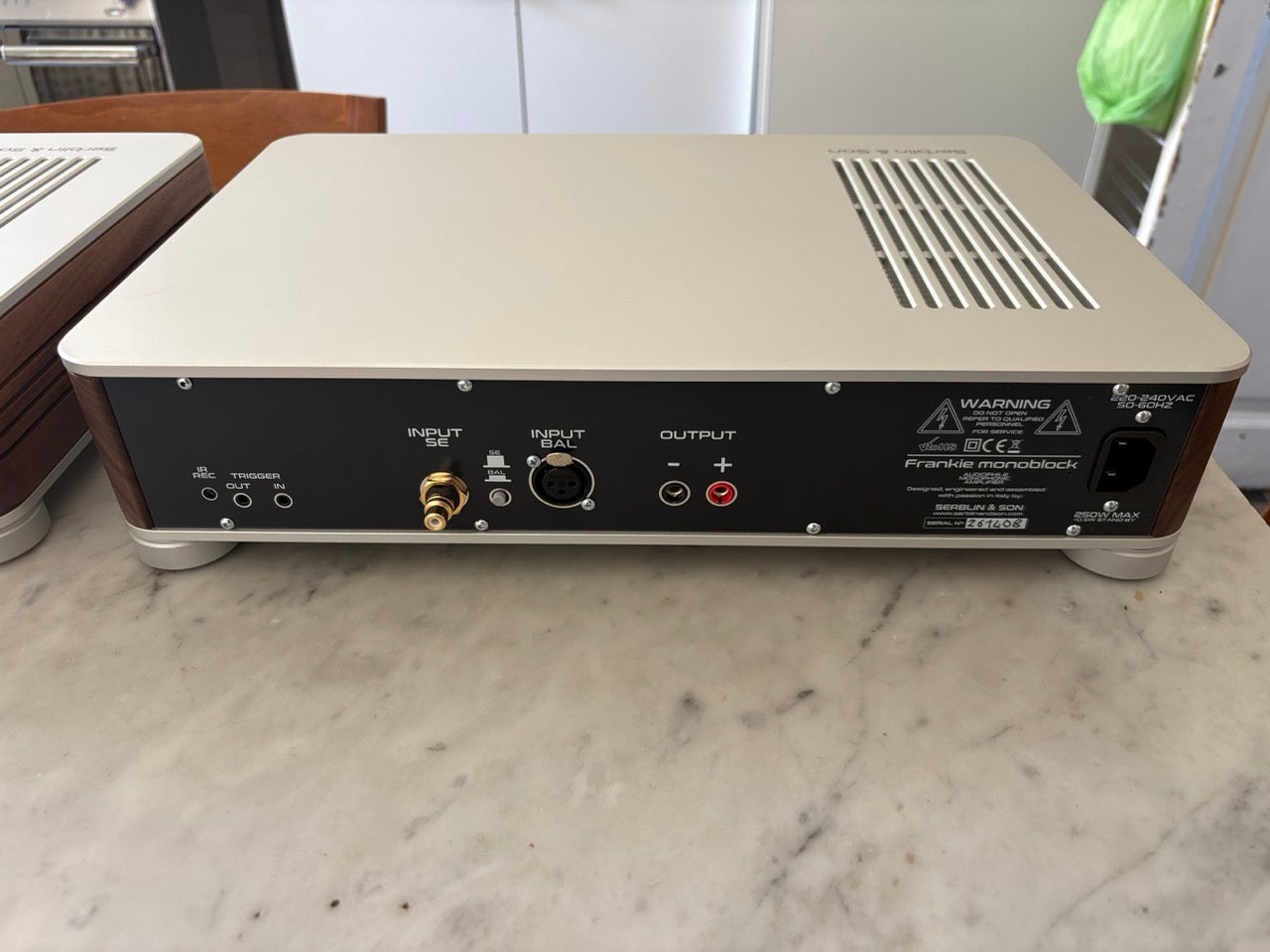 Serblin & Son Frankie monoblocco - Coppia di finali mono - EX DEMO