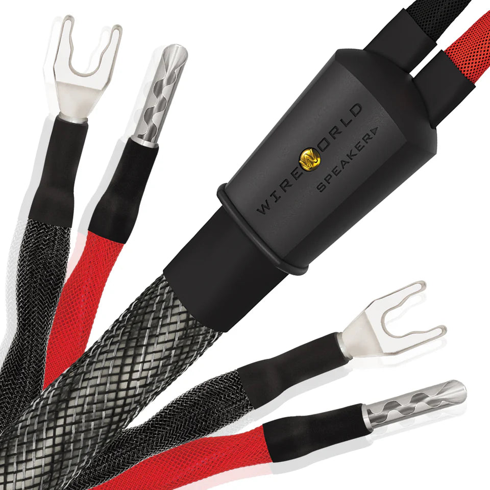 Wireworld SILVER ECLIPSE 10 - coppia di cavi di potenza