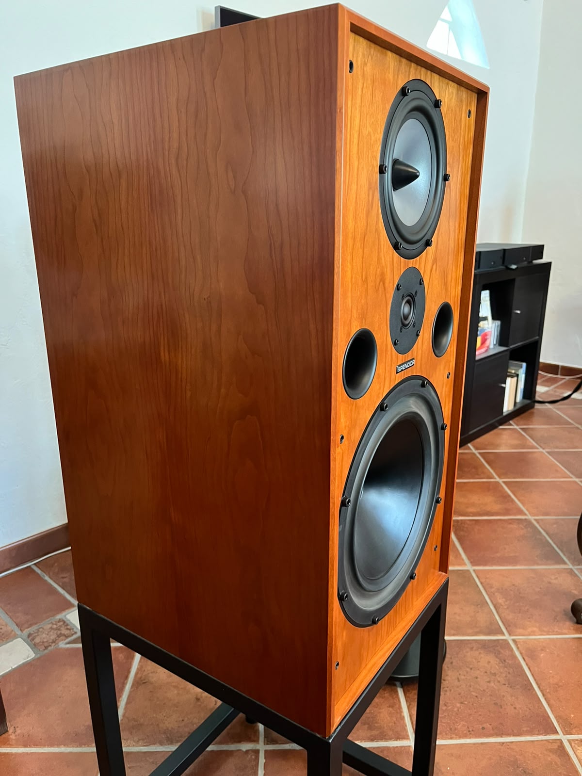 Spendor SP100R2 con stand - USATO