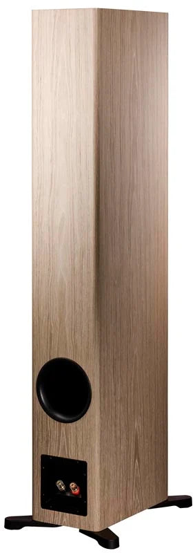 Dynaudio Evoke 50 – Paar Standlautsprecher