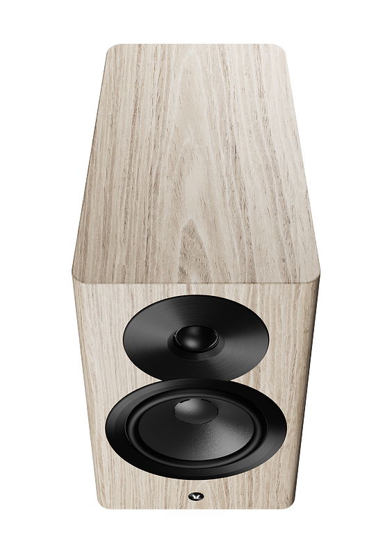 Dynaudio Focus 10 – Paar aktive Standlautsprecher